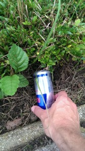 Zwerfie Ulrum